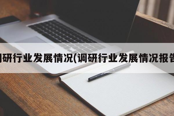 调研行业发展情况(调研行业发展情况报告)